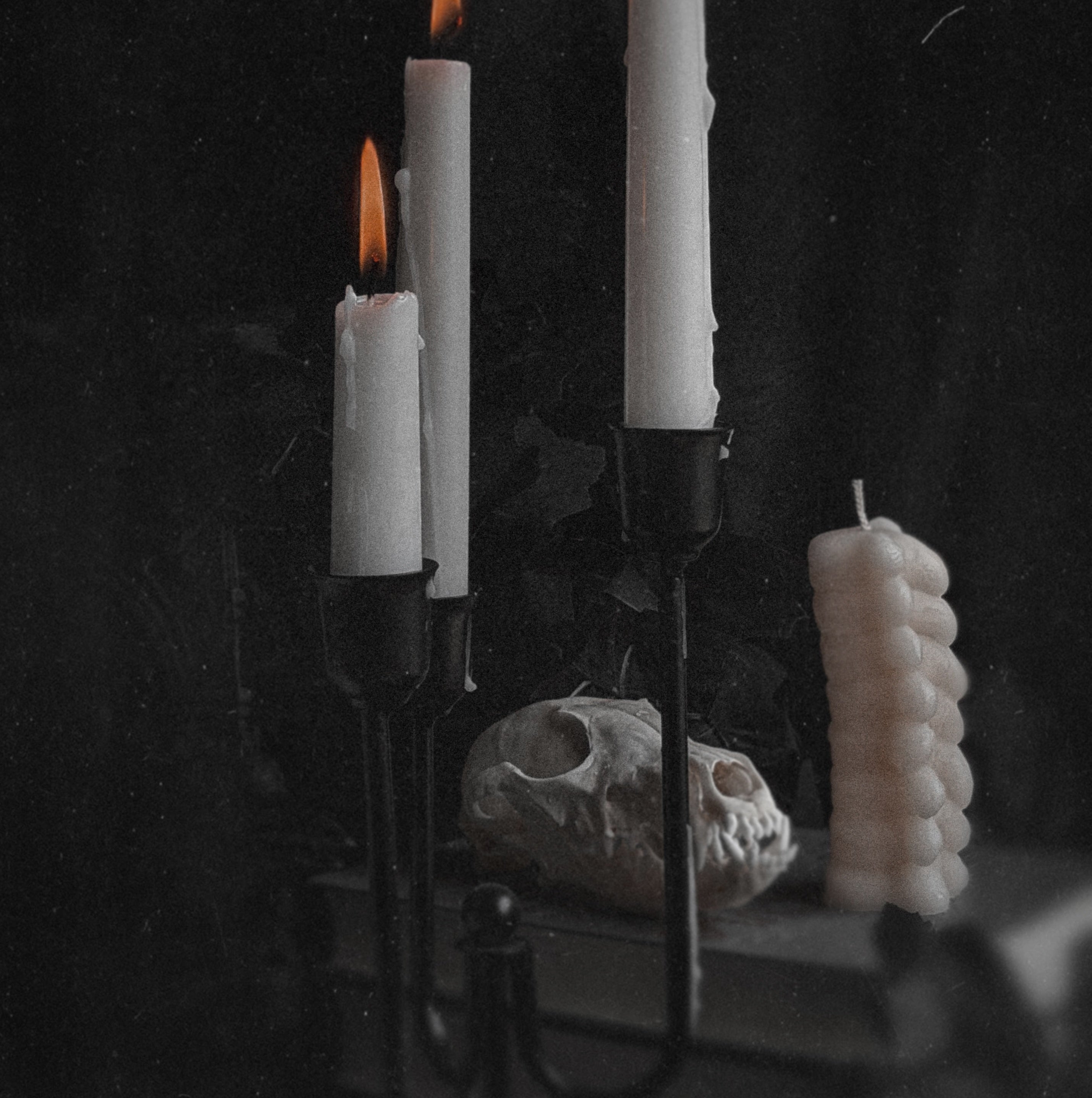 Morbid Curiosities Spine Pillar Candle