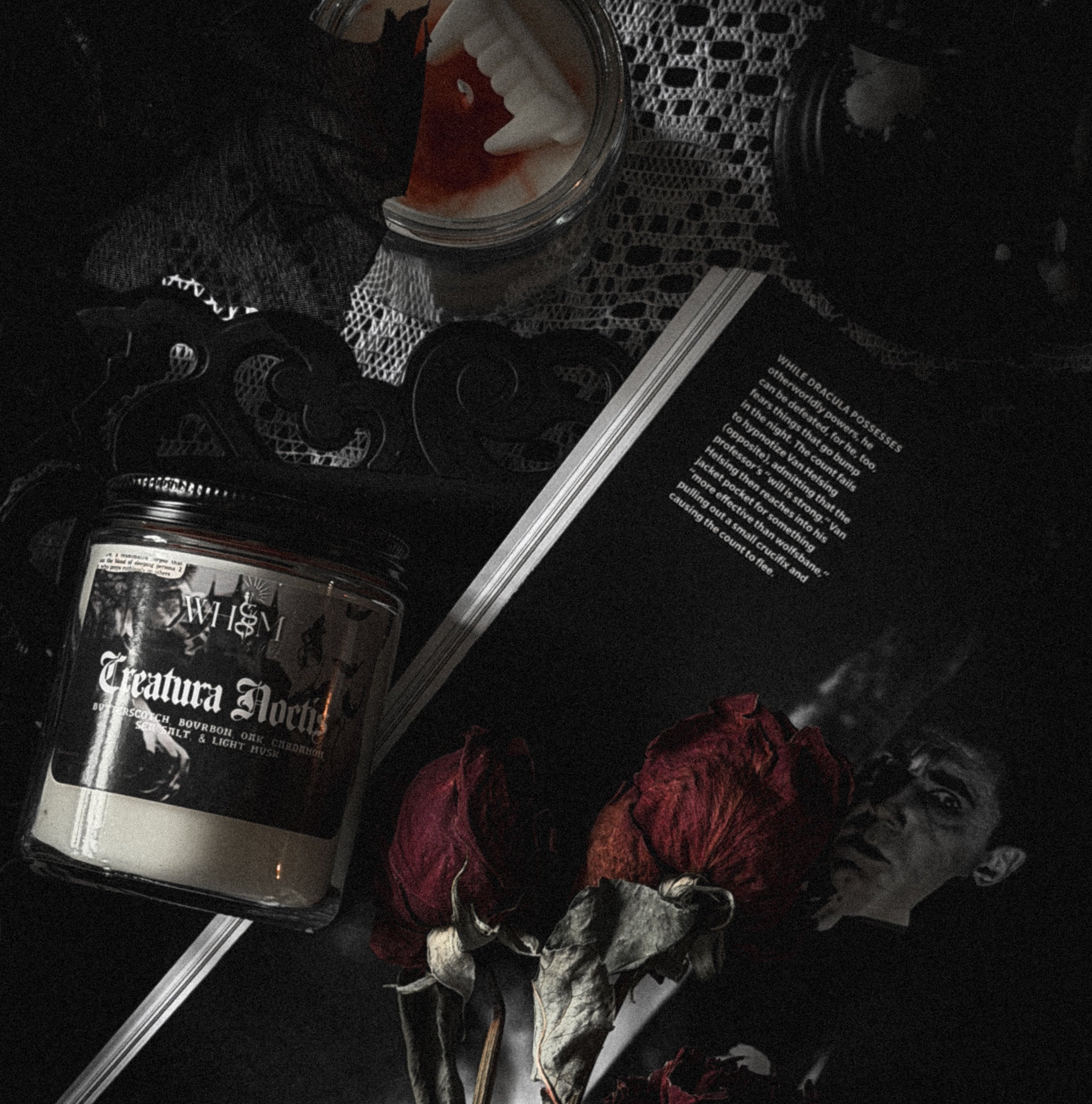 Creatura Noctis